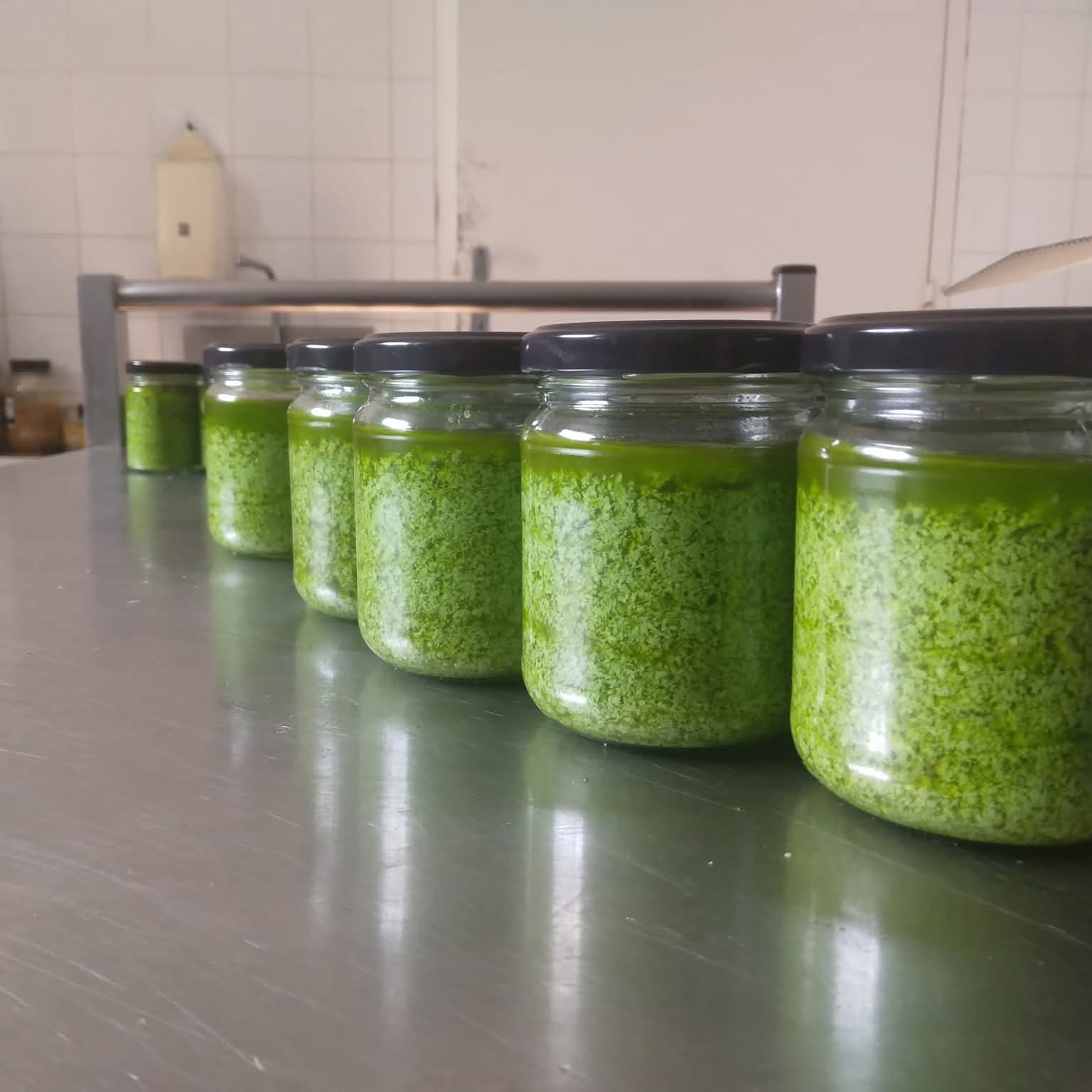 Pesto de basilic en bocaux